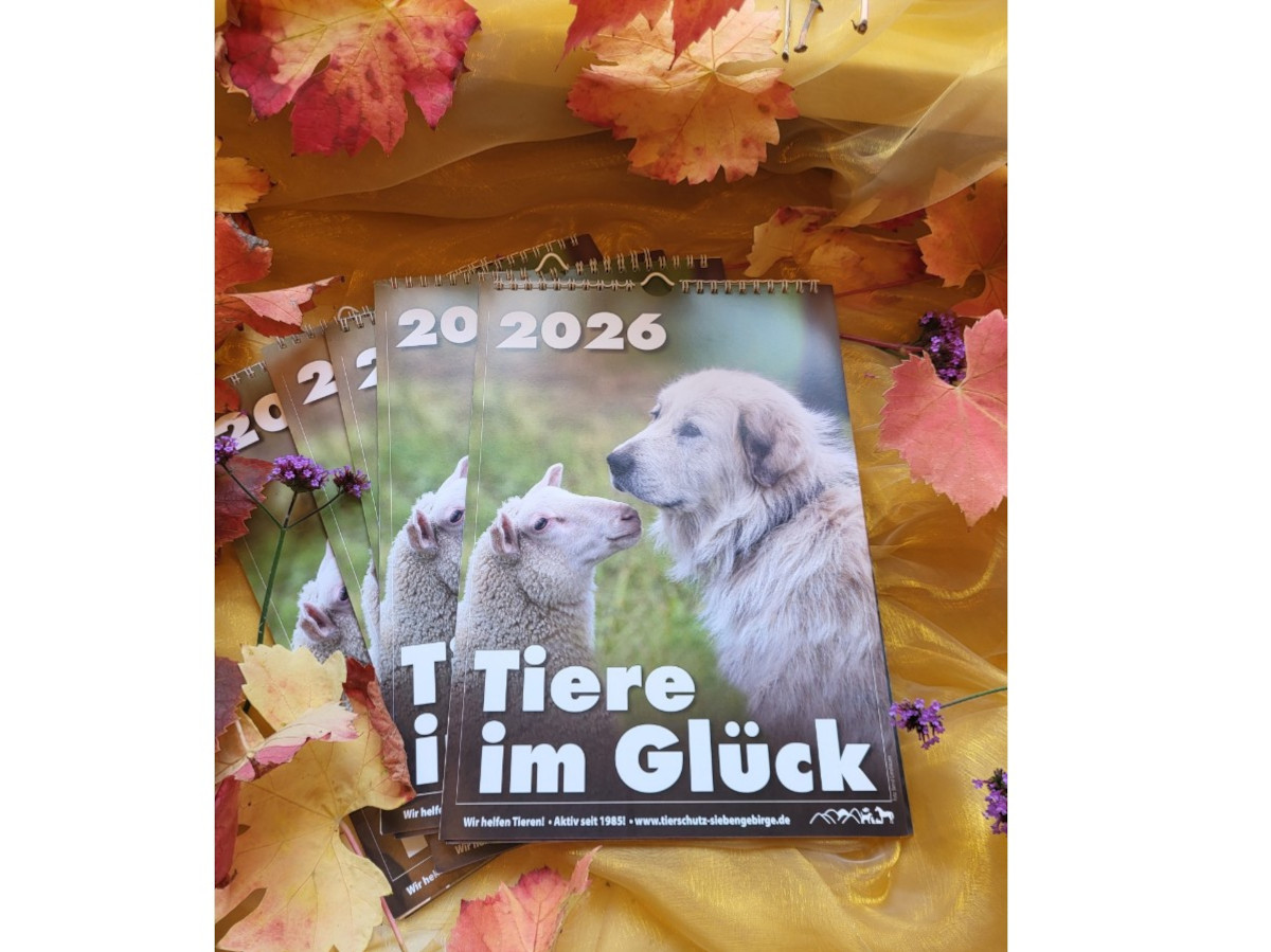 Tierschutz Siebengebirge: Tierfreunde aufgepasst, Kalender ist da