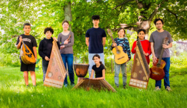 Gruppe junger Menschen mit Musikinstrumenten steht auf einer Wiese im Park.