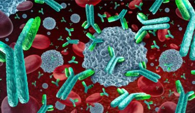 Kölner Forscher finden breit wirksamen Antikörper gegen HIV