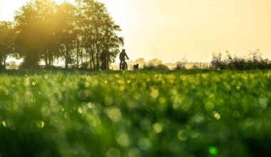 Niedersachsen & Bremen: Wolkenreiches und mildes Wetter zum Start der Herbstferien