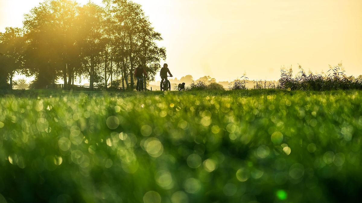 Niedersachsen & Bremen: Wolkenreiches und mildes Wetter zum Start der Herbstferien