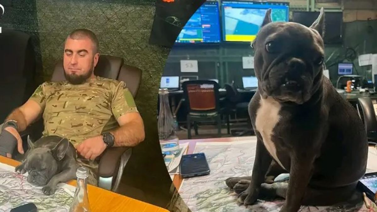 Wirbel um Fotos mit Hund: Ukrainischer Kommandeur soll auf Tiktok geheime Gefechtskarten gezeigt haben
