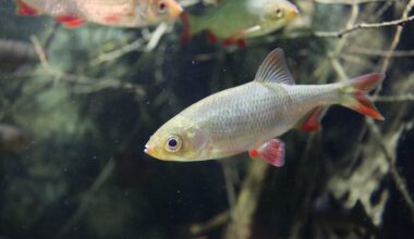 Kinder, Familien und alle Bastelfreundinnen und Bastelfreunde sind in den Herbstferien zu zwei kreativen Ferientagen am 16. und 17. Oktober sowie einem Workshop am 23. Oktober 2025 in das Aquazoo Löbbecke Museum eingeladen. © Landeshauptstadt Düsseldorf/Aquazoo Löbbecke Museum