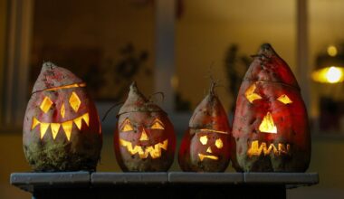 Berlin & Brandenburg: Herbstferien starten: Rausgeh-Tipps für die Region