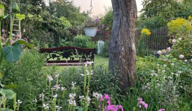 Berlin & Brandenburg: Kleingärtner in Prenzlauer Berg gewinnen Landeswettbewerb