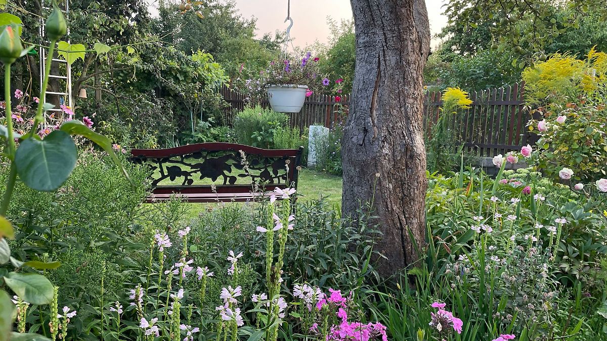 Berlin & Brandenburg: Kleingärtner in Prenzlauer Berg gewinnen Landeswettbewerb