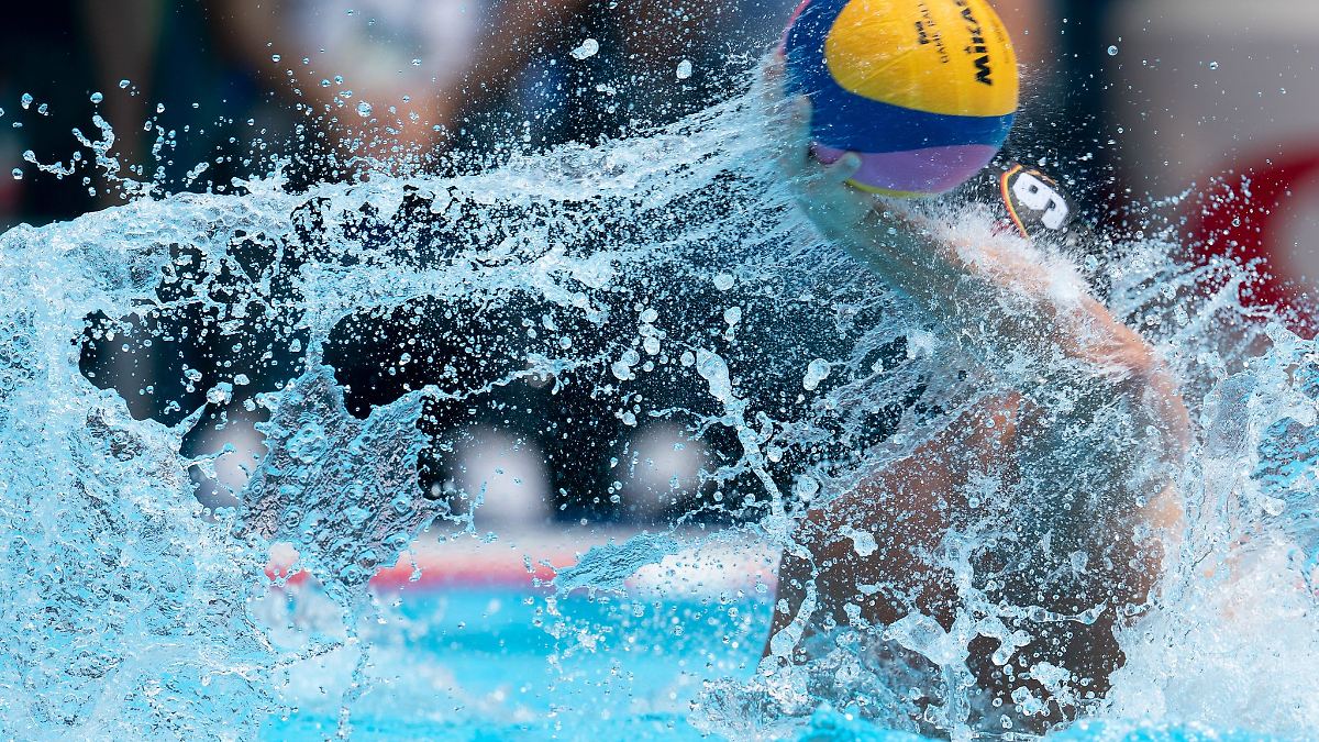Berlin & Brandenburg: Spandauer Wasserballer starten mit Sieg gegen Potsdam