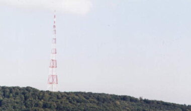 Logo lw