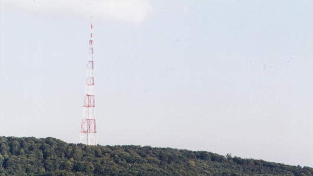 Logo lw