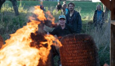 Der "Tatort" im Schnellcheck: Fuchs, du hast den Kopf gestohlen ...