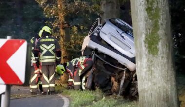 Berlin & Brandenburg: Weniger tödliche Unfälle an Straßenbäumen in Brandenburg