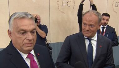 Donald Tusk holt Viktor Orban in Interview - und kann seine Russland-Antwort kaum bremsen