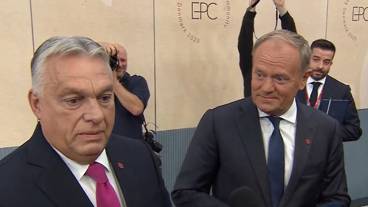 Donald Tusk holt Viktor Orban in Interview - und kann seine Russland-Antwort kaum bremsen