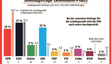 BILD-Umfrage zur Landtagswahl 2026: SPD in Rheinland-Pfalz hinter AfD - "Wahl-Klatsche" für Ampel in Mainz?