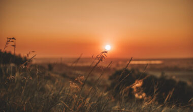 Die Sonne genießen, Urlaubsfeeling weit weg von Zuhause. Foto: Pixabay,   RuslanSikunov