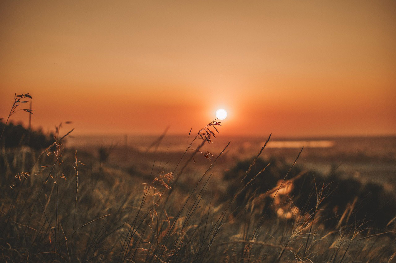 Die Sonne genießen, Urlaubsfeeling weit weg von Zuhause. Foto: Pixabay,   RuslanSikunov