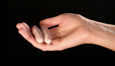 Ausstellung „Wo die Lilien wachsen“ von Sabine Müller im Regionshaus