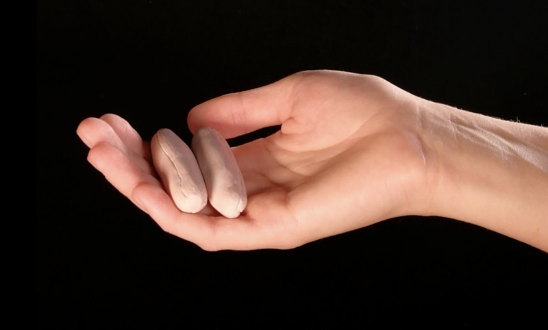 Ausstellung „Wo die Lilien wachsen“ von Sabine Müller im Regionshaus