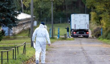 Berlin & Brandenburg: Stallpflicht in mehreren Kreisen wegen Vogelgrippe