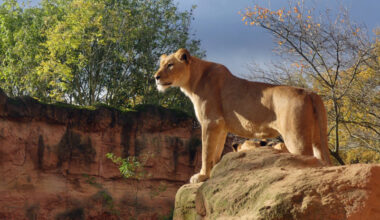Erlebnis-Zoo startet in die Wintersaison