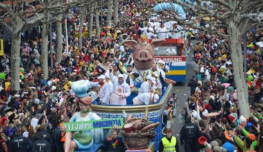 Weniger Wagen, mehr Blockordner, gebündelter Laufen: So will der Mainzer Carneval Verein den Rosenmontagszug kürzer machen