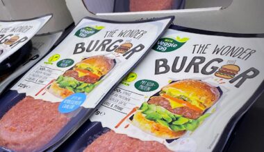 Europaparlament stimmt über Veggie-Burger-Verbot | Politik