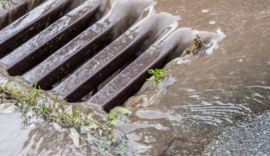 Förderprogramm für Regenwasserversickerung in Bottrop
