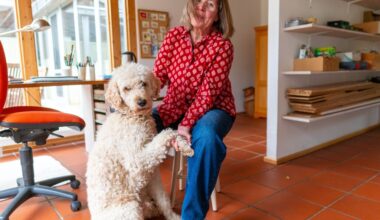 Pudel aus der Heimatstadt begleitet Kinder durch den Advent