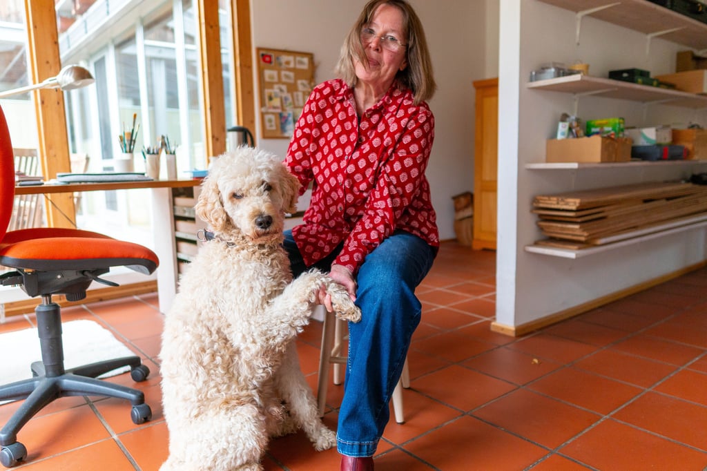 Pudel aus der Heimatstadt begleitet Kinder durch den Advent