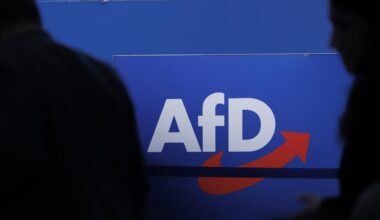 AfD klagt auf Rückgabe von Millionenspende - tagesschau.de