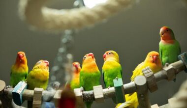 Wie sich das Berliner Tierheim vor der Vogelgrippe schützt