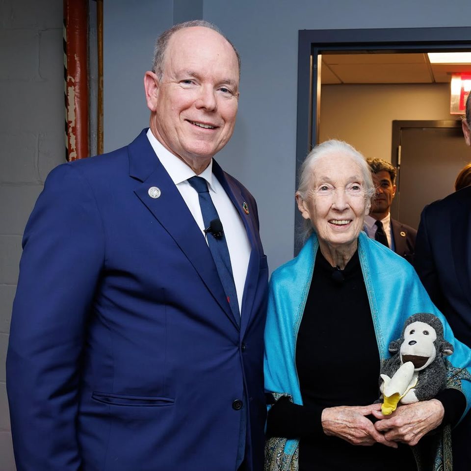 Jane Goodall (†): Weltberühmte Forscherin stirbt im Alter von 91 Jahren