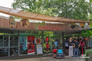 Der Allwetterzoo Münster bietet während der NRW-Herbstferien erstmals zwei vergünstigte Familientagestickets an. (Foto: Tessa-Viola Kloep)