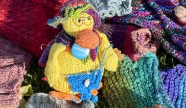 In der Verler Bibliothek wird mit „Enten“ gestrickt