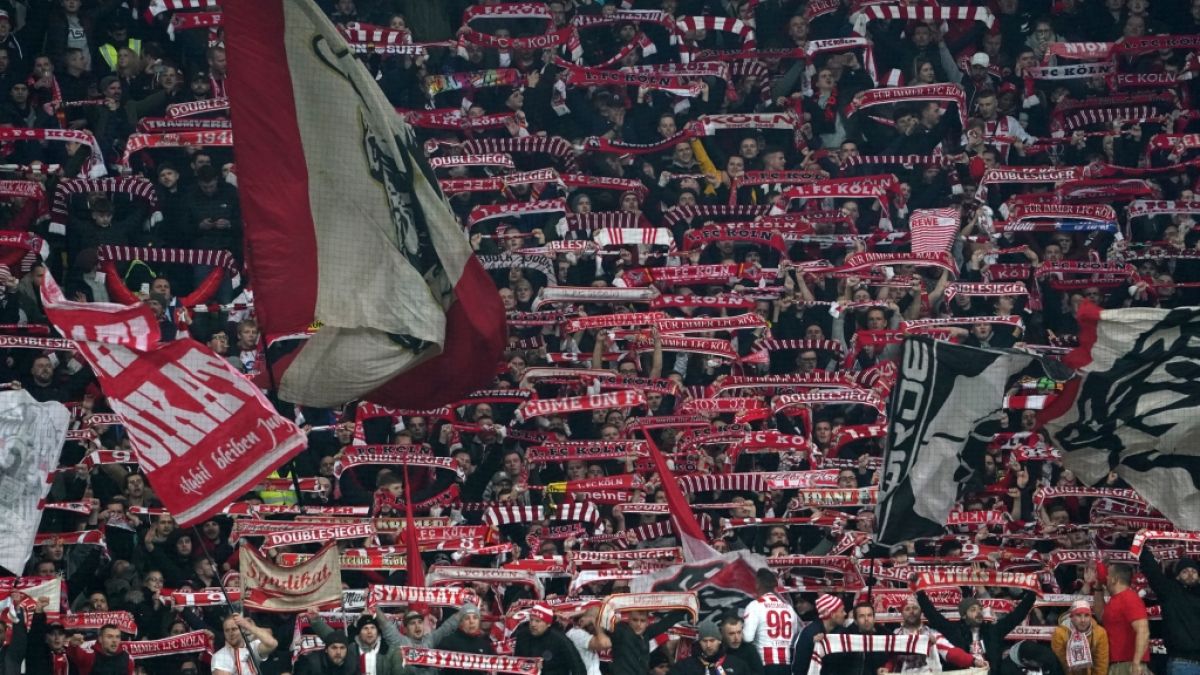 1. FC Köln: Highlights und Ergebnisse in der Bundesliga