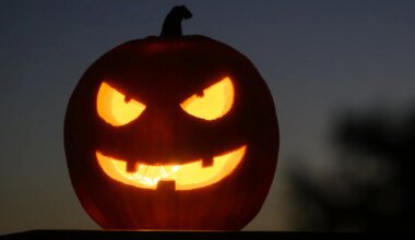 Was an Halloween in München 2025 geboten ist. Ein Überblick - München