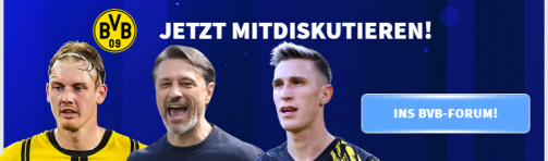 Jetzt im Forum über den BVB diskutieren.