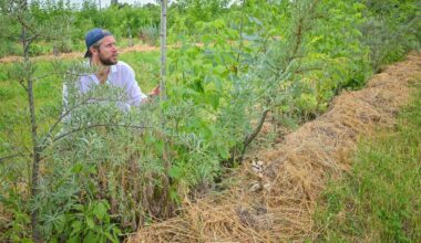 Der Agrarökonom Benedikt Bösel hockt neben einer neu angepflanzten Fläche aus Bäumen und Büschen.