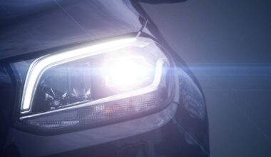 Wildwechsel in Kaarst: Vorsicht auf den Straßen