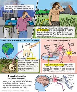 Bleibelastung und Menschheitsgeschihcte