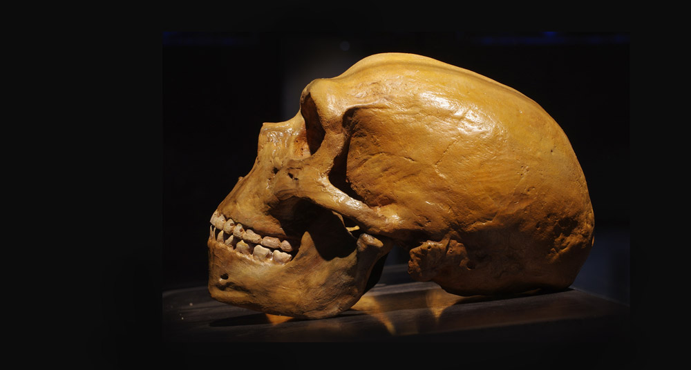 Neandertaler