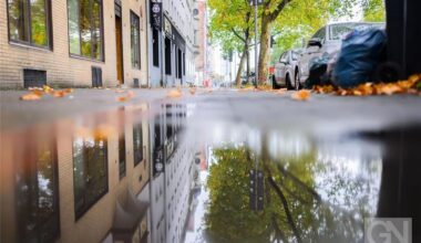 Tödliche Schüsse in Hannover: Haftbefehl für 27-Jährigen