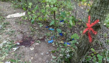 Mann (25) in Neuss erstochen: Mysteriöses Tötungsdelikt am Friedhof | Regional