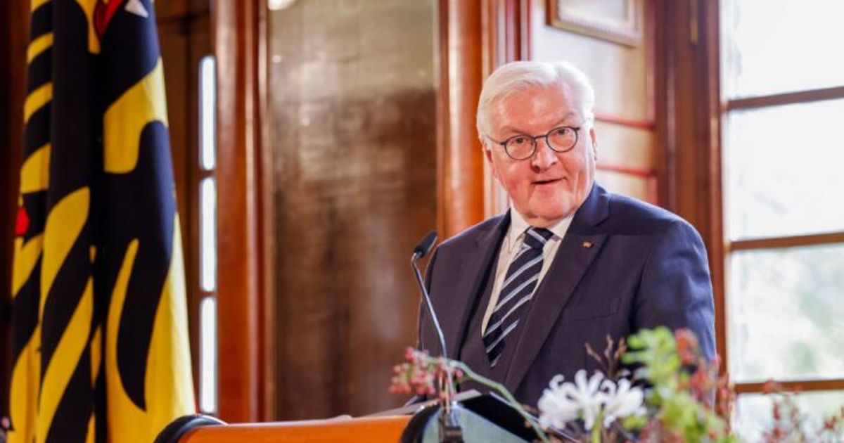 Van der Bellen und Steinmeier: "Europa neu erfinden!"