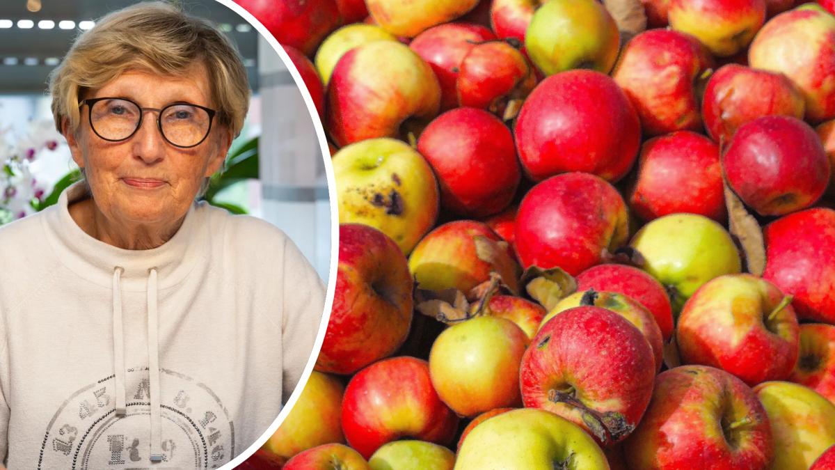 Wie macht man Äpfel haltbar? Landfrauen Melle geben Tipps