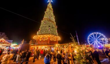Neid aus Dortmund – Rekordbaum erreicht Weihnachtsmarkt in NRW