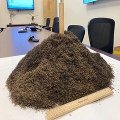 Eine Million Mücken. (Bildquelle: The Lee County Mosquito Control District; bearbeitet)