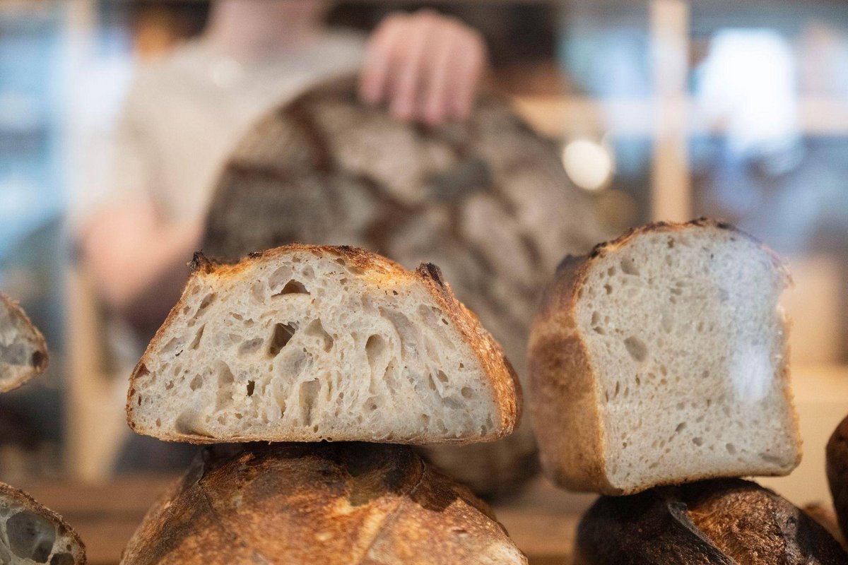 Stuttgart | Taylor-Swift-Effekt? Sauerteig auf Höhenflug