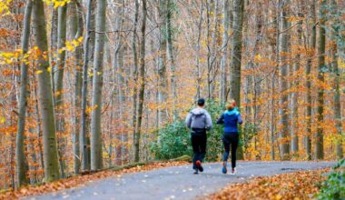 Offenbach | Wochenende wird vielerorts sonnig - Nachtfrost im Osten