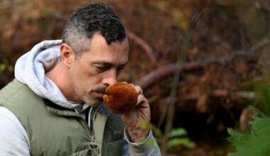 Zeuthen | Trendhobby Pilzesammeln: Der Wald als «bullshitfreie Zone»